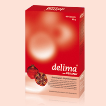 grafik_delima.jpg